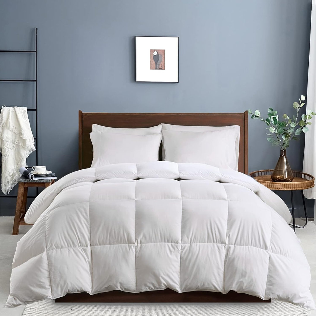 750in³/oz Fill Power All Season Down Comforter Alwyn Home 