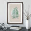 Botanical Fern - Framed Print-62806392-62806409