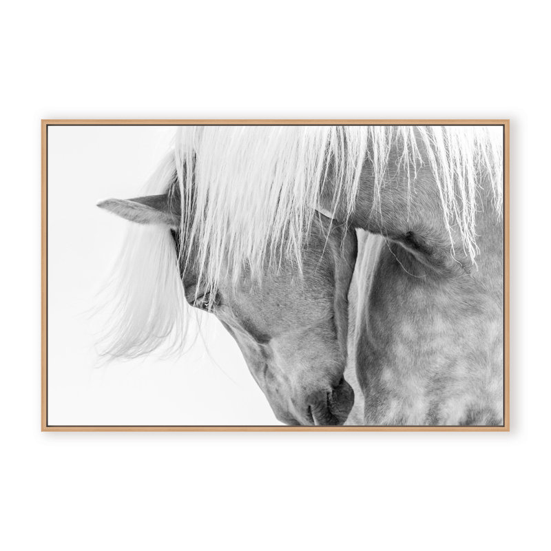 Nature Inspired Halflinger Portrait by  - Picture Frame Photograph on Paper, Framed Canvas, 32" H x 48" W x 2.375" D, White