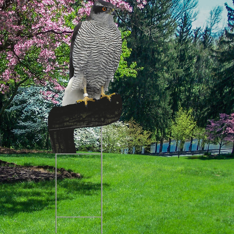 Panneau de jardin Hawk imperméable en plastique Coroplast