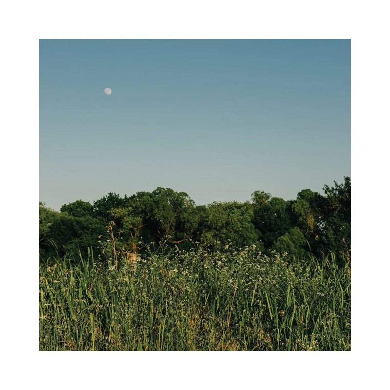 Summer Moon III by Bethany Young - Print on Canvas, Wrapped Canvas, 66.04cm H x 66.04cm W x 1.91cm D