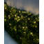 0.13cm LED Battery Powered 100 - Bulb Paper Lantern String Light-22742235