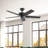 Erikson 52-In Fan Ceiling Fan-103256122-103256121