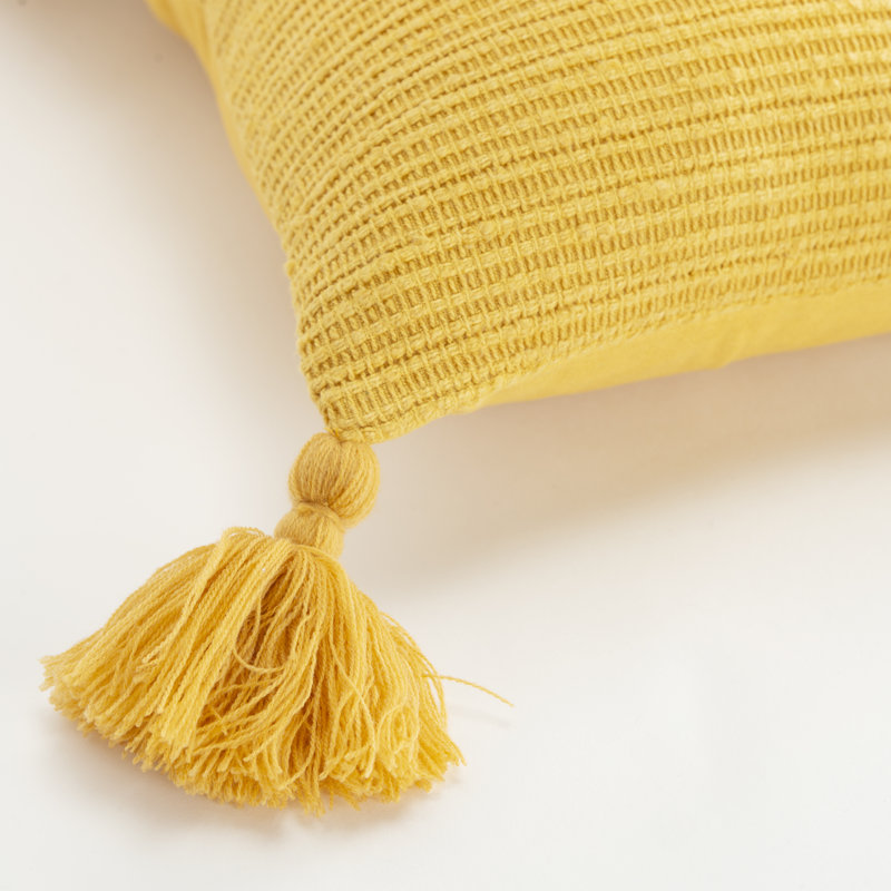 Tassels Throw Pillow