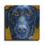 «Black Dog» par CR Townsend-169205282