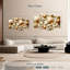 Aletra divers coquillages-108848617