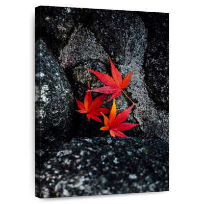 Harnek Pop Fallen Maple Leaves