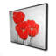 Three poppies - 36"x48" Framed canvas