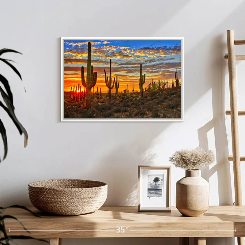 Cactus coucher de soleil, Cadre flottant blanc, 19 po x 13 po