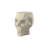 Skull - Stool-112283549
