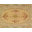 Savonnerie Wool Oriental Area Rug in Beige