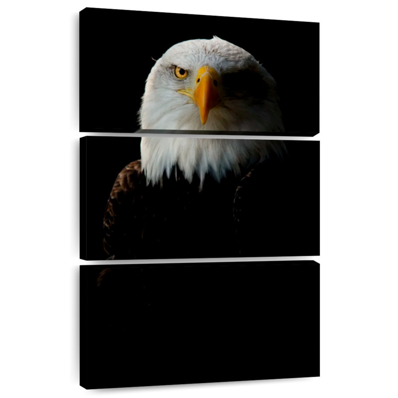 Brampt Bald Eagle Headshot, 32" H x 20" W