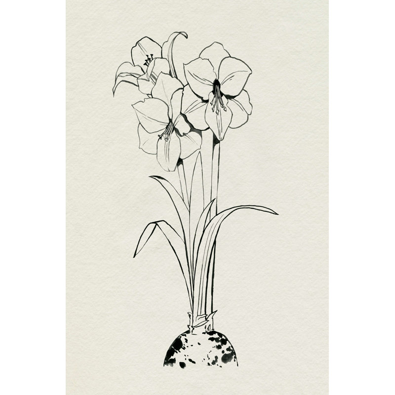 «Christmas Amaryllis II» par Grace Popp, reproduction sur toile tendue, H 18 po x l 12 po x P 1,25 po