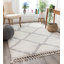 Cabana Off-White Celosia Moroccan Trellis Shag Rug-39723755