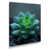 Wrapped Canvas
