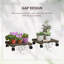 Rundelle Wood Weather Resistant Plant Stand