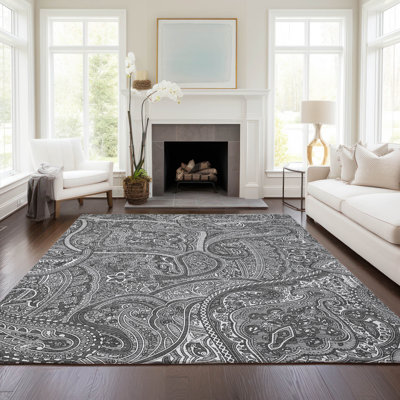Itzayani Paisley Rug