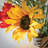 Mixed Assortment Arrangement in Jar