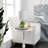 Edmund Table Lamp-1165765651