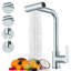 AlenArtWater Pull Out Spray Kitchen Faucet