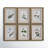 Botanical Study' - 6 Piece Picture Frame Graphic Art Print Set on Paper