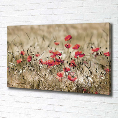 Maki - Wrapped Canvas Print