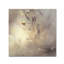 « little lady », reproduction d’impression sur toile tendue-23531809