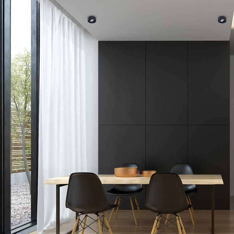 Antonsen Ceiling Spotlight, Black