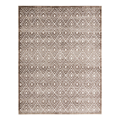 Amorrah Moroccan Indoor Rug