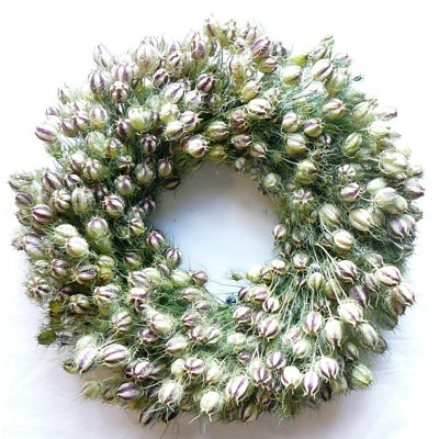 Dried Nigella Spring Wreath