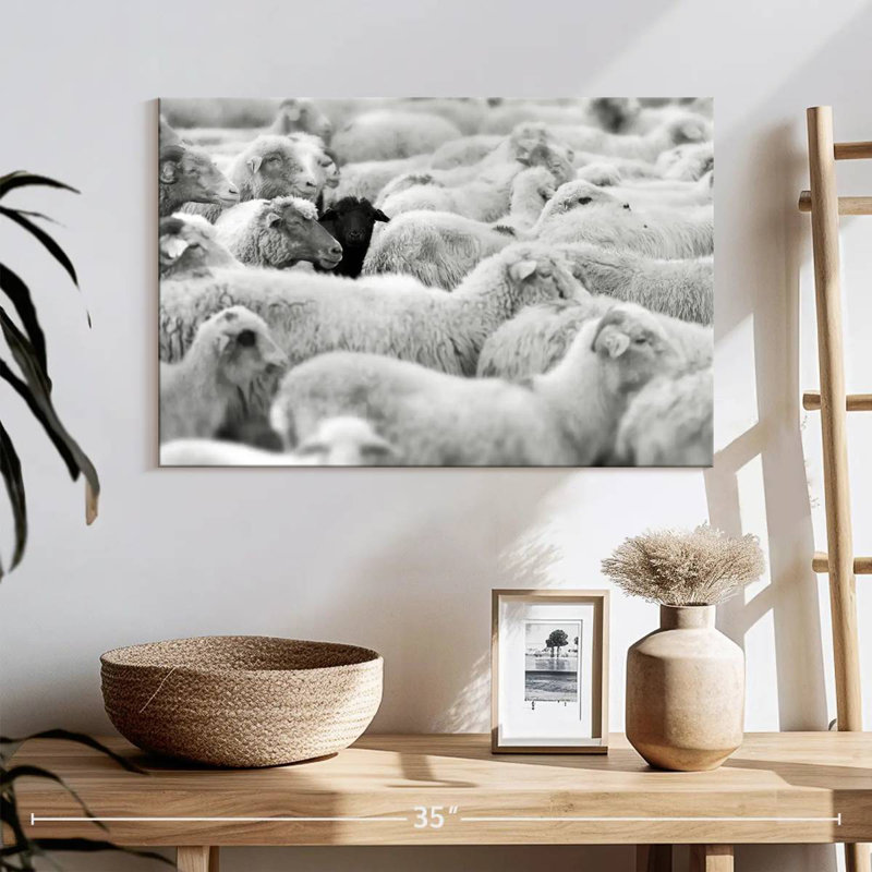 Distinct Black Sheep, 16" H x 24" W