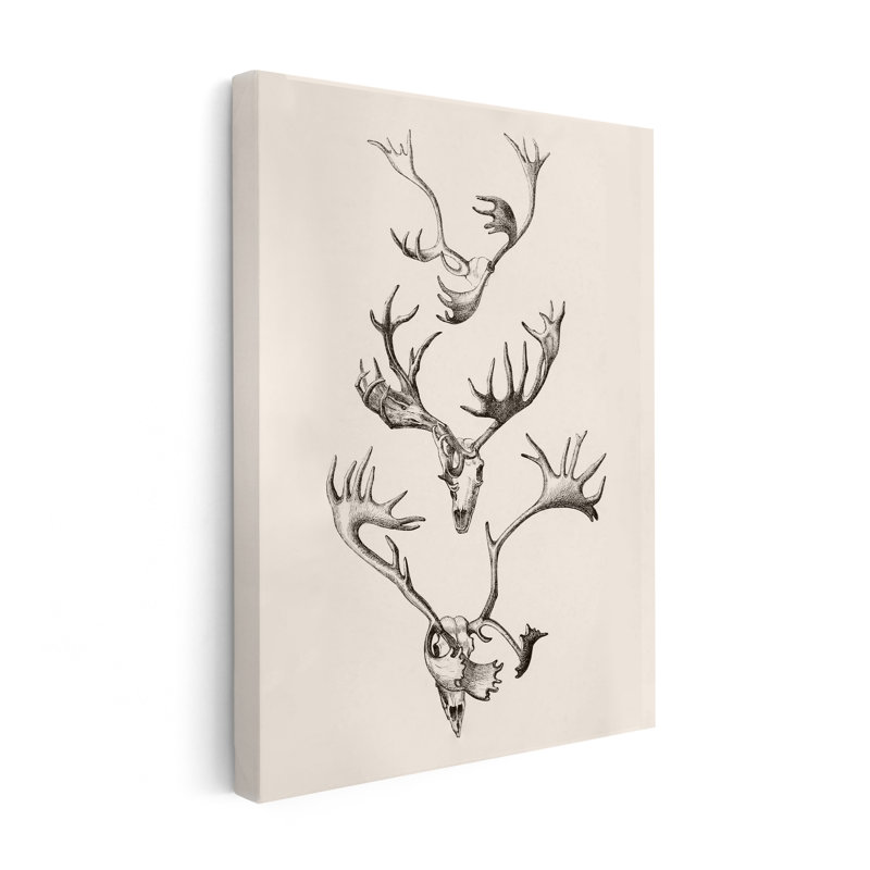 Crâne et bois, Unframed, Canvas, 18"H x 24"W