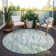 Aleighna Area Rug with Non-Slip Backing