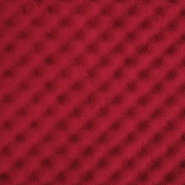 Vernes Soothing Foam Comfort Anti-Fatigue Mat Latitude Run Color: Red