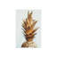 L'impression d'ananas sur verre acrylique-1746437304