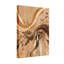 Abstract Wood Grain Abstract Art Pattern Print-2110775997