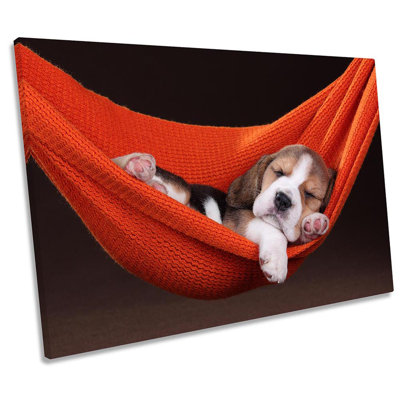 Cute Beagle Puppy Sleeping - Wrapped Canvas Art Prints
