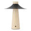 Hagen 12-in Black dimmable LED Table Lamp-197790358