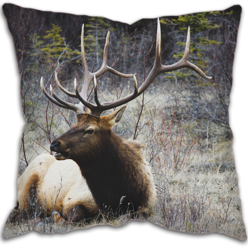 Kendal Square Cushion