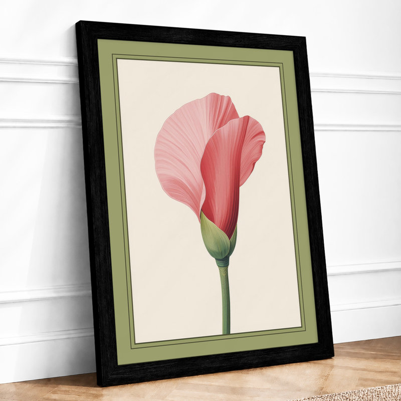 Pink Carnation Study Botanical - Framed Print, A4 - 29.7 x 21.0 cm, Black