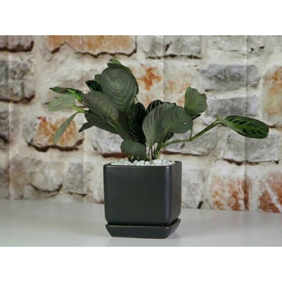 Cube with Attached Saucer By 