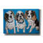 «King Charles Family» par Carolee Vitaletti-880864585