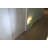 PINE CONE NIGHT LIGHT
