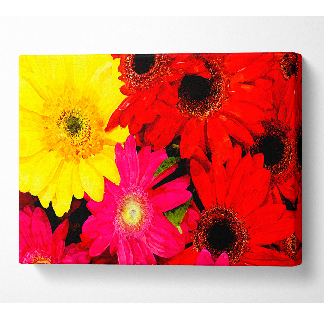 Gerbera Galore - Druck