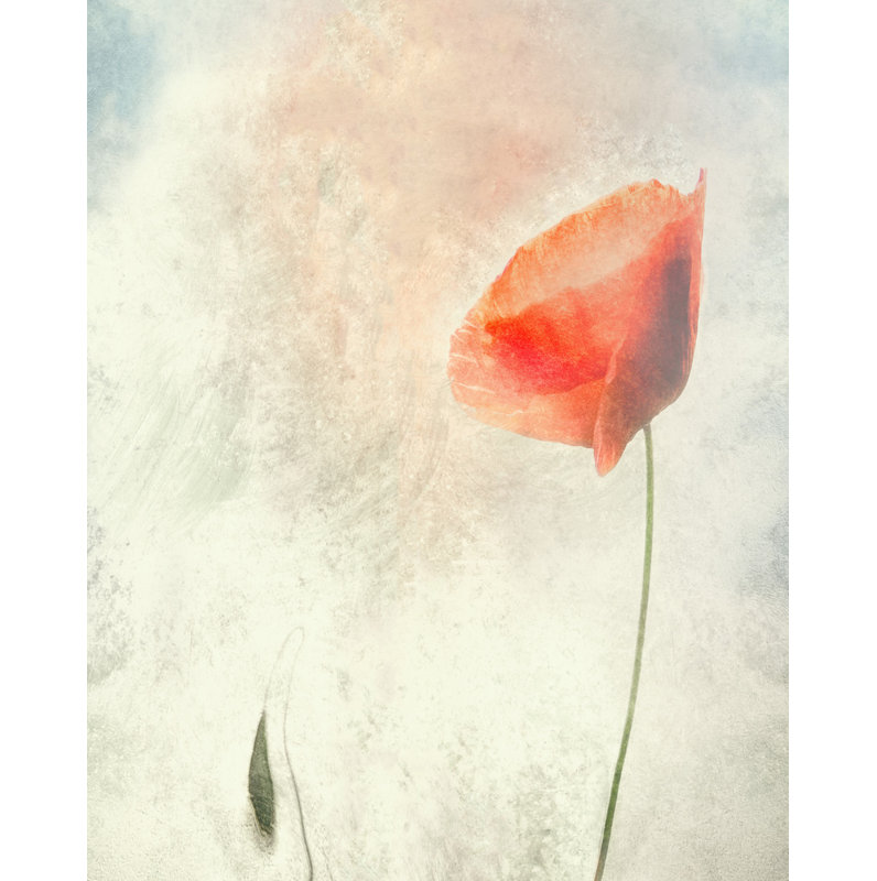 1 Piece Wrapped Canvas Wall Art