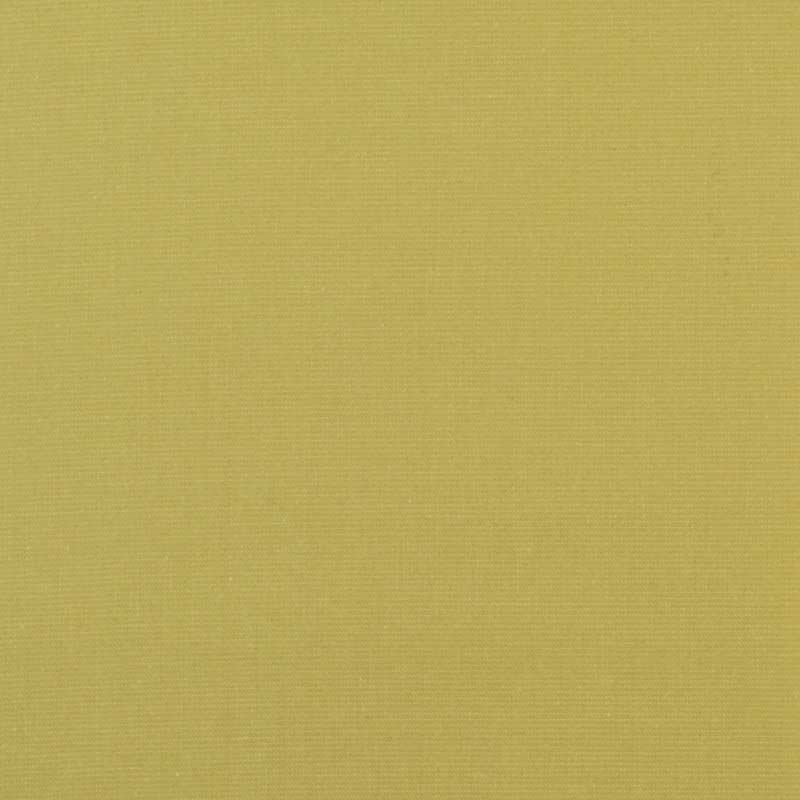 Tissu à carreaux, rayures et solides Baxter, Péridot