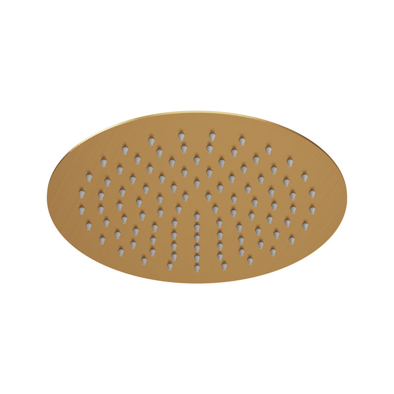 10-Inch Round Single-Function Shower Head, Brushed Gold
