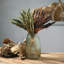 Ruebin 8'' Glass Table Vase-747422840