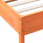 Rokko Solid Wood Bed-886689425-886689428