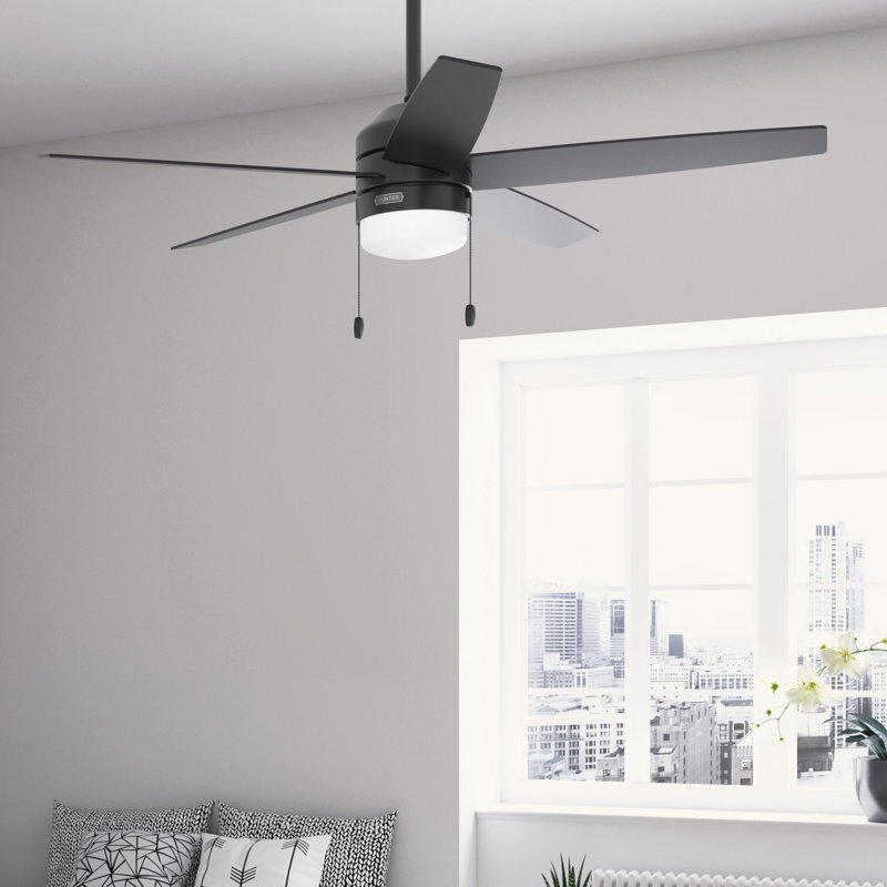 Bardot 52" 5 - Blade Ceiling Fan With Lights and Pull Chains, Matte Black